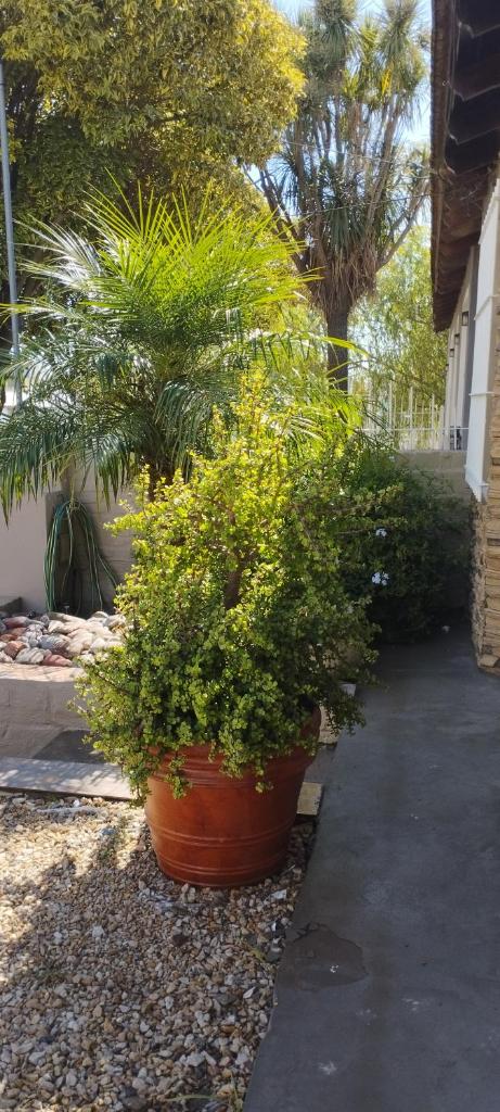 Mi casita photo 2