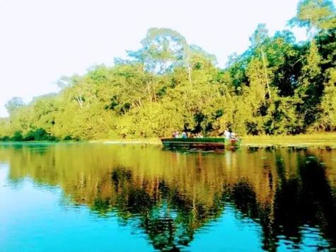 Bromelia Flower Lodge Iquitos photo 4