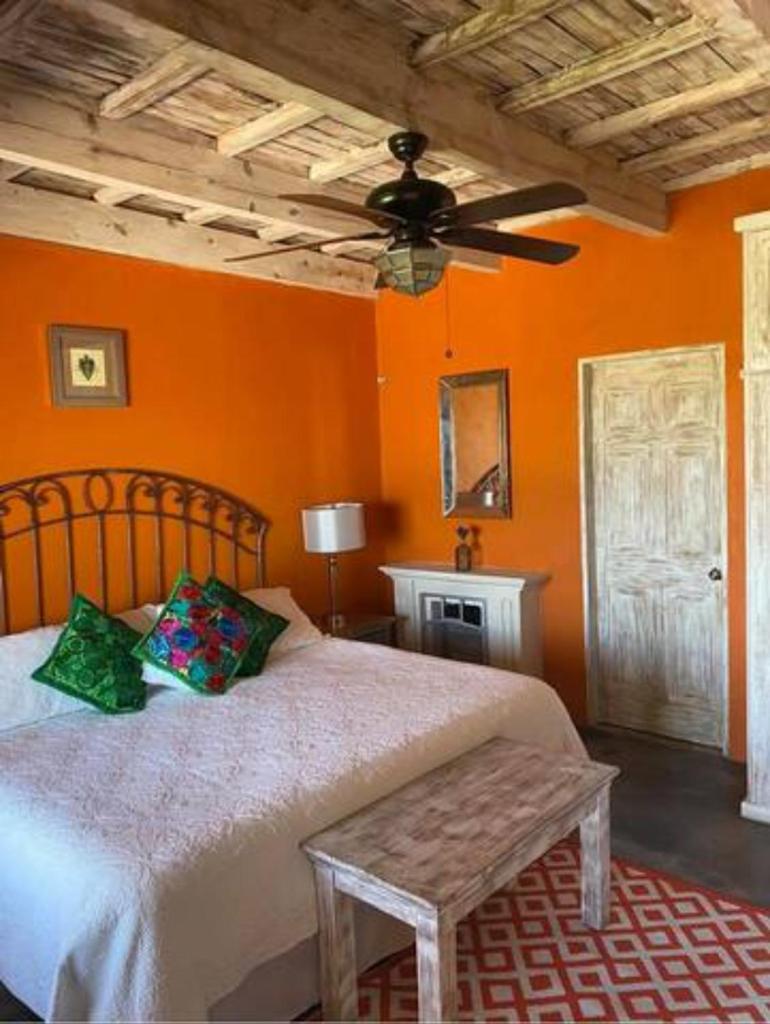 View Hotel Boutique photo 1