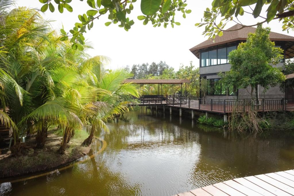 The Secret Lagoon photo 1