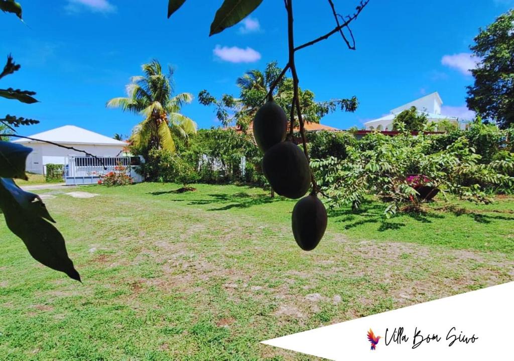 Villa Bom Siwo: Anse Bertrand photo 1