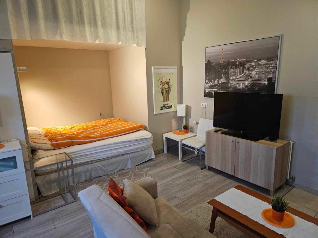 Private studio apartment near the airport photo 4