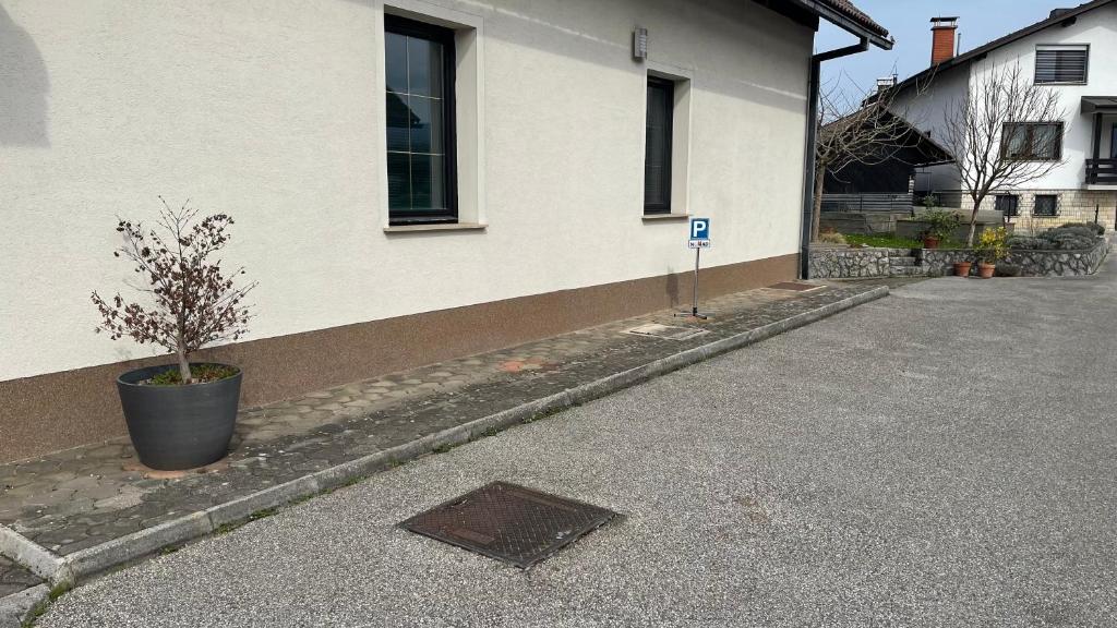 Apartma Nomad photo 1