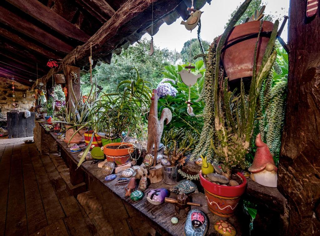 Apartamento en Plena Naturaleza photo 2