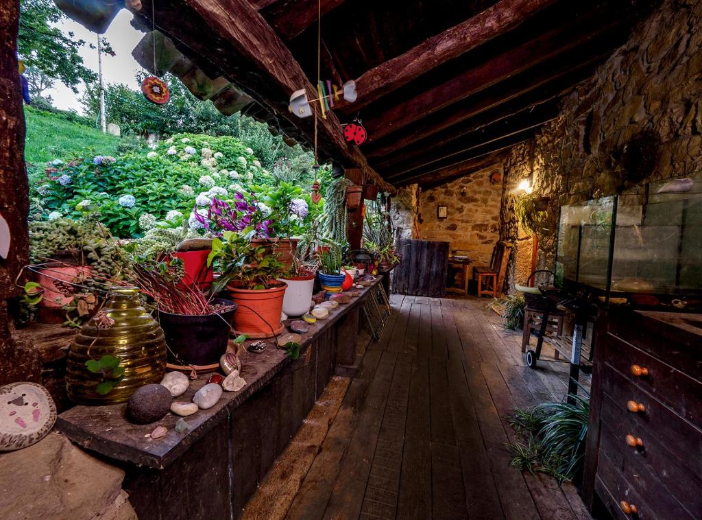Apartamento en Plena Naturaleza photo 1