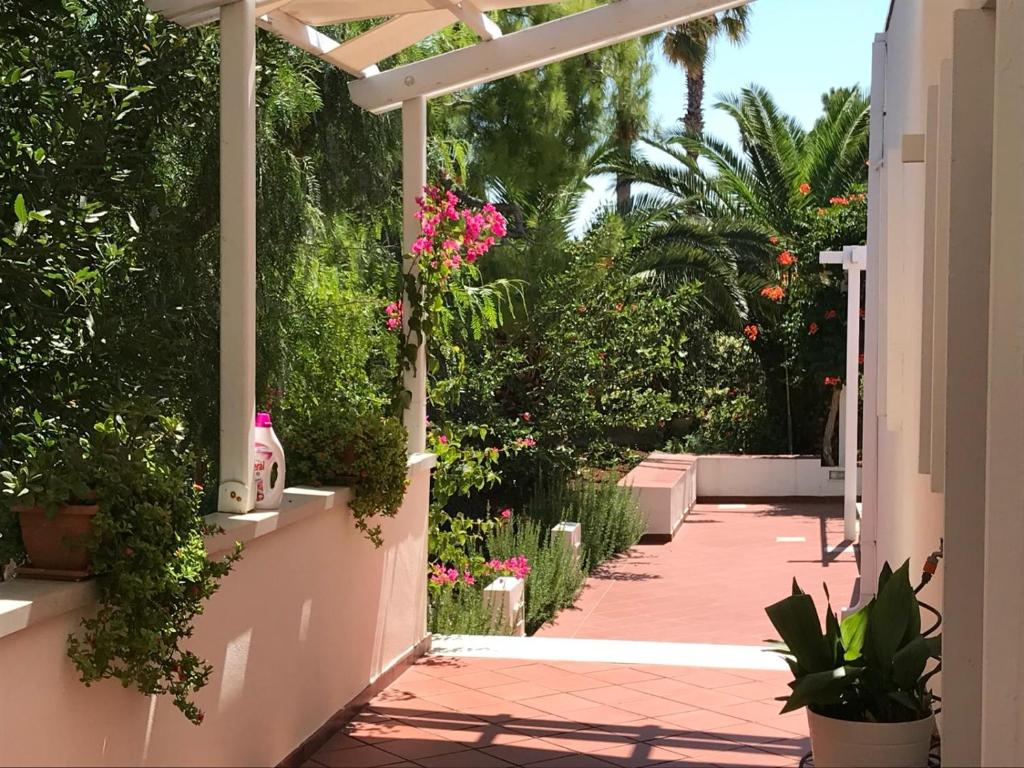 Villa Elena photo 3