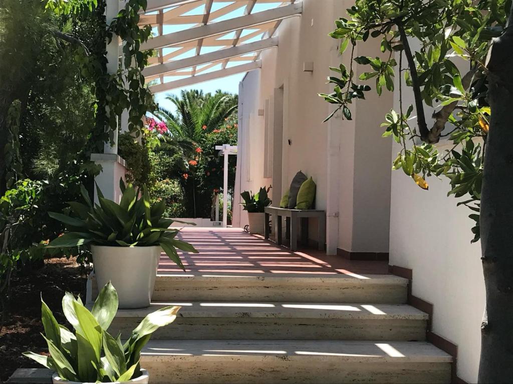 Villa Elena photo 4