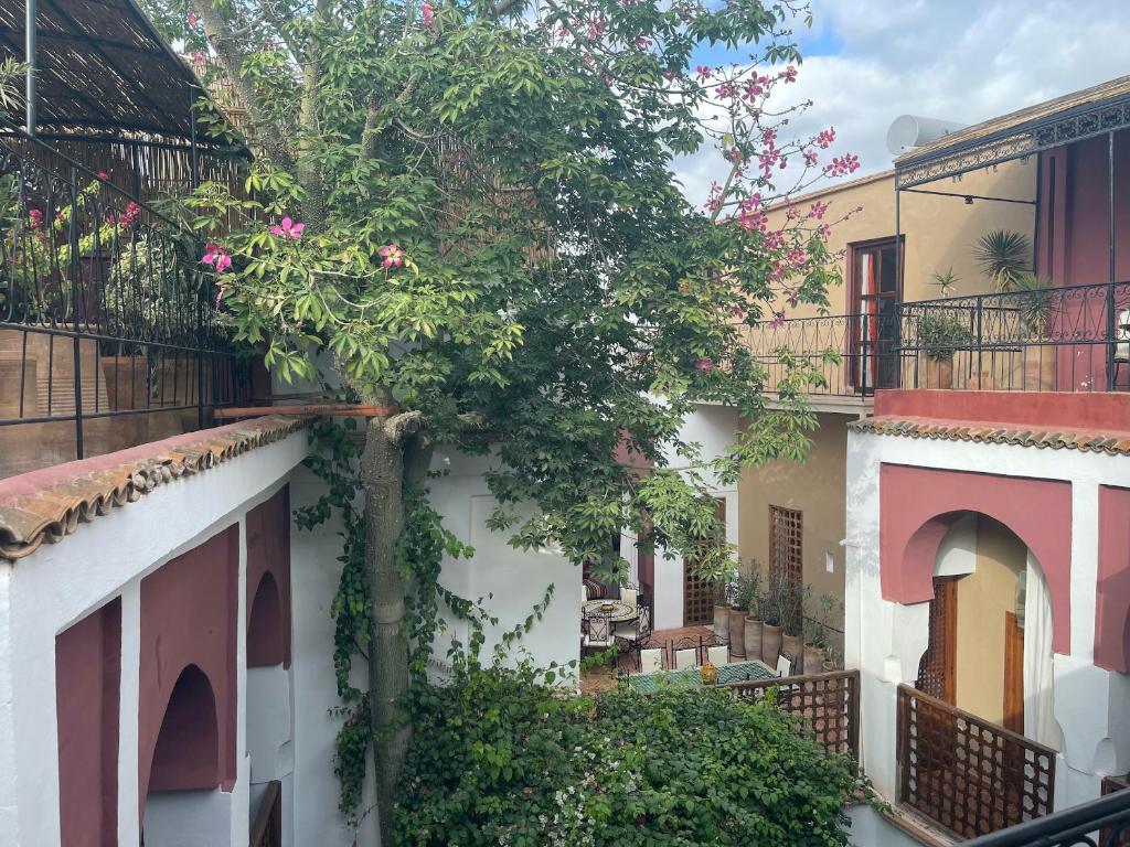 Riad Tafilag photo 2