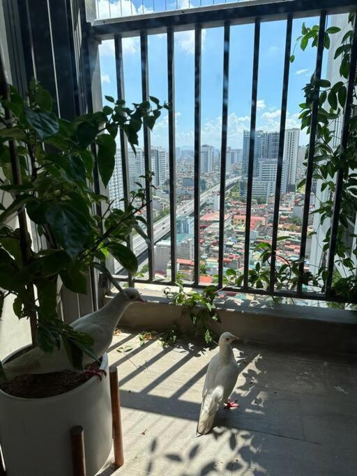 Căn hộ khách sạn cao cấp