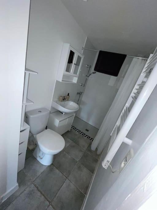 Au petit Olivier, Appartement avec jardin photo 4