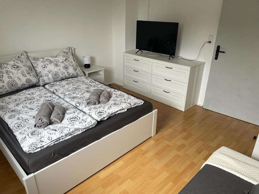 Apartment Paulberg photo 3