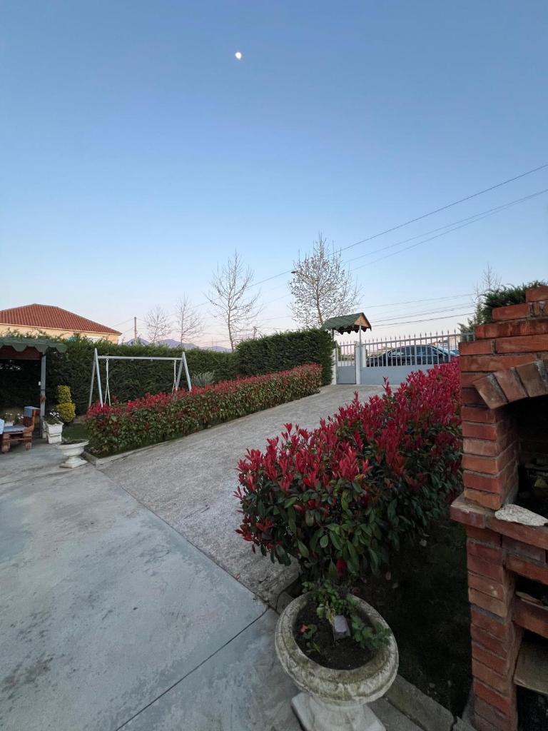 Villa Çerpja photo 1