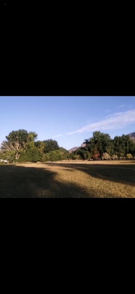 Jardín El Cocodrilo photo 2