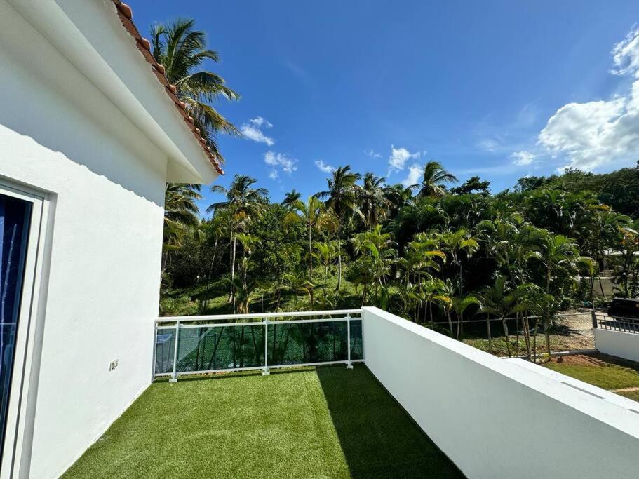 Casa CalPi: A Tropical Oasis! photo 4