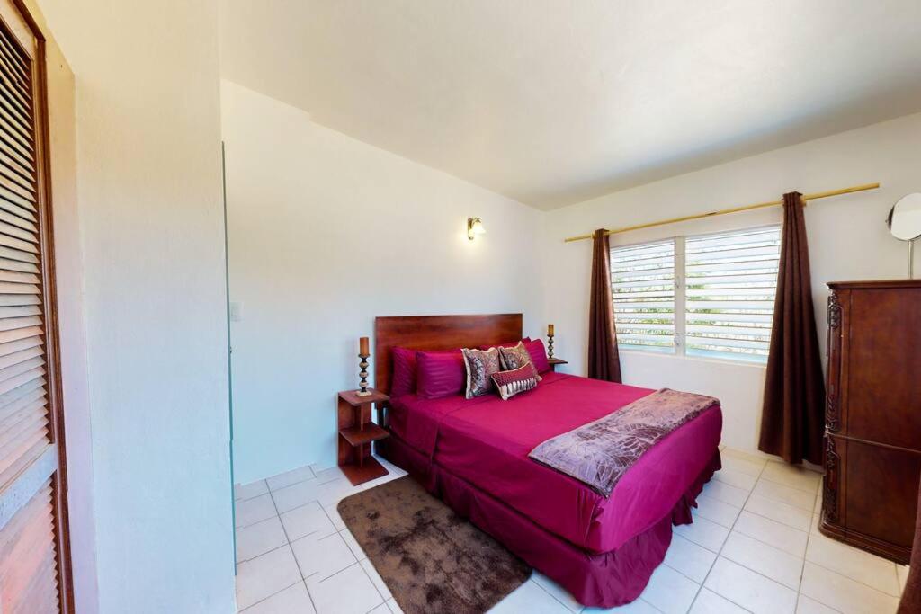 South Hill Cottage photo 2