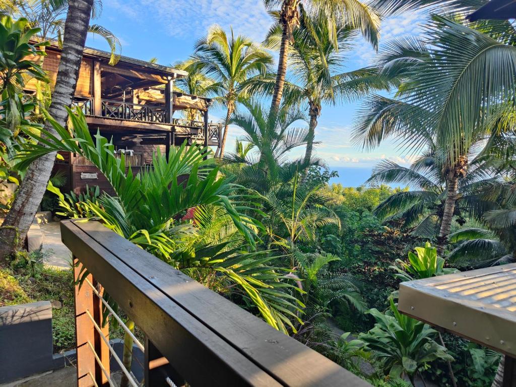 OHANA Jungle Lodges photo 4
