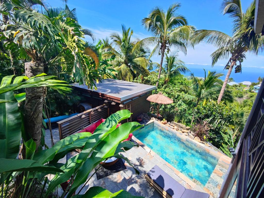 OHANA Jungle Lodges photo 3