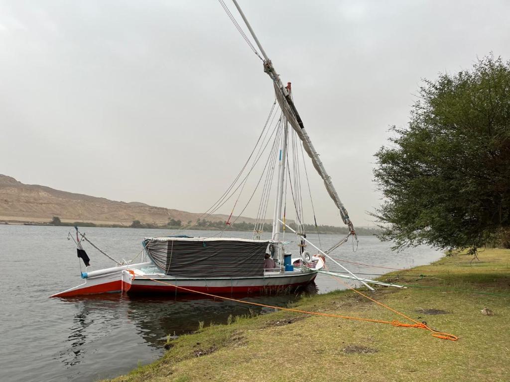 Habibi Sailing Boat Overnight Experience