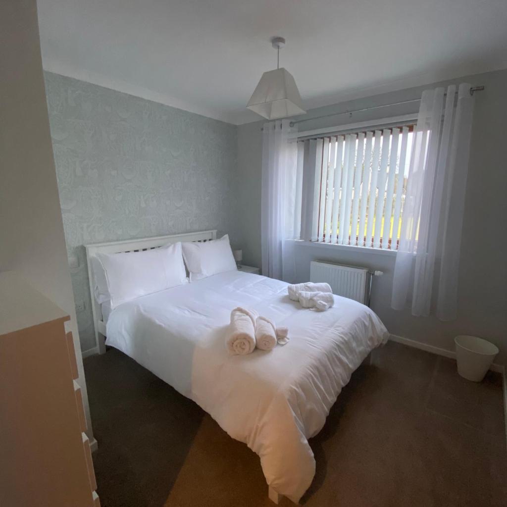 Cathwill - Cosy 4 Star Cottage - Cairngorm National Park - Tap to explore photos