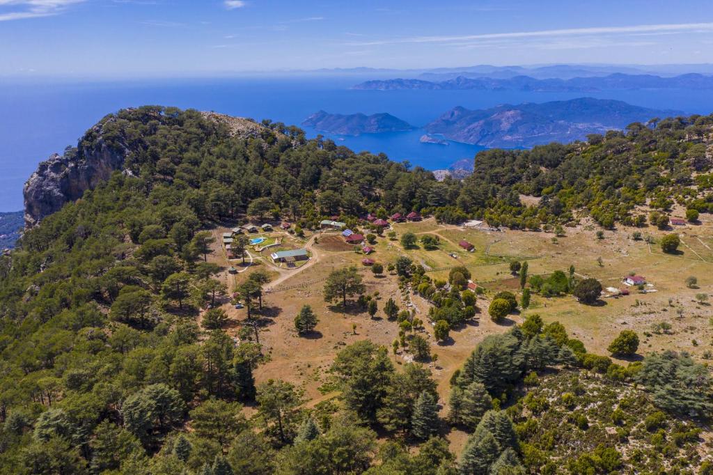 Babakamp Eco Ranch & Retreat photo 3