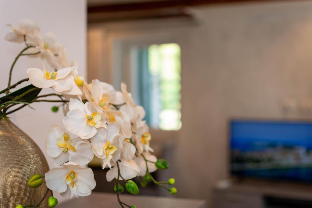 Stancia Rosa - cozy apartment photo 2