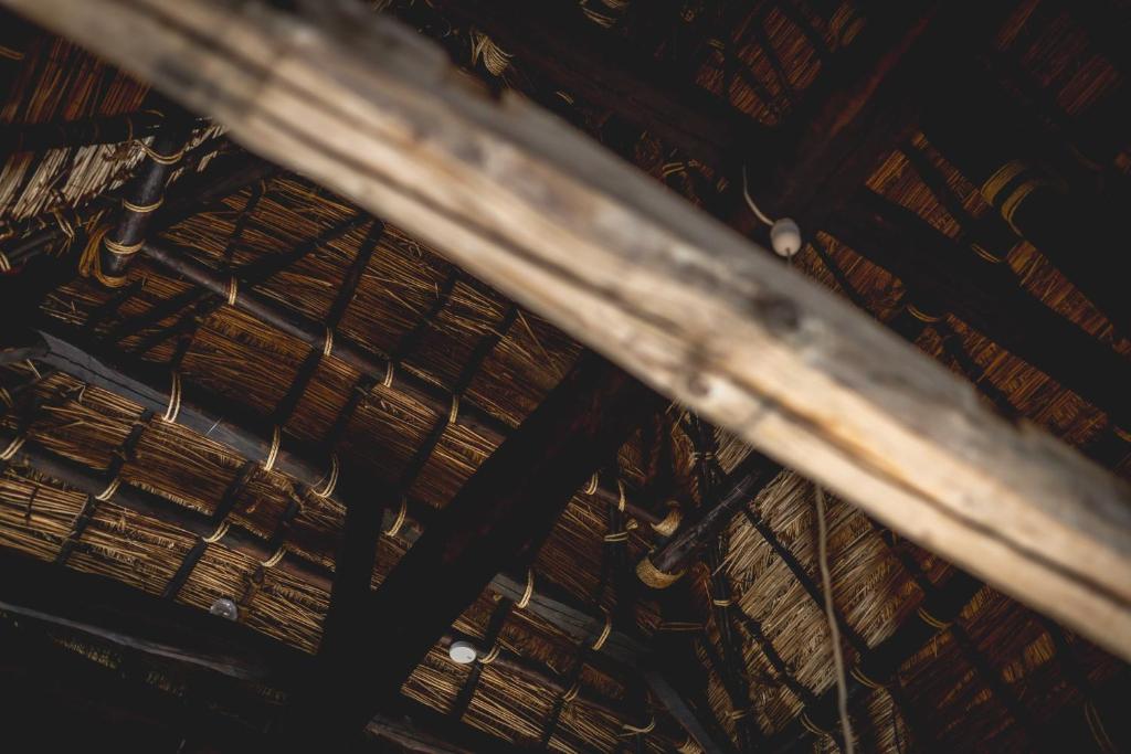 awai 戸隠 photo 4