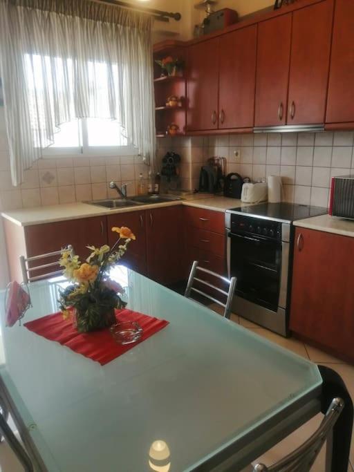 Zeus_Apartment_Ioannina photo 2