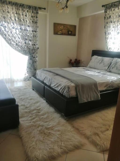 Zeus_Apartment_Ioannina photo 3