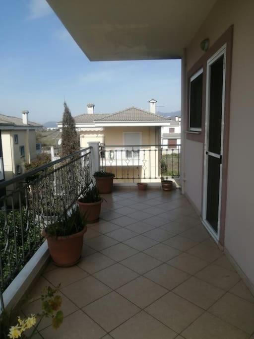Zeus_Apartment_Ioannina photo 4