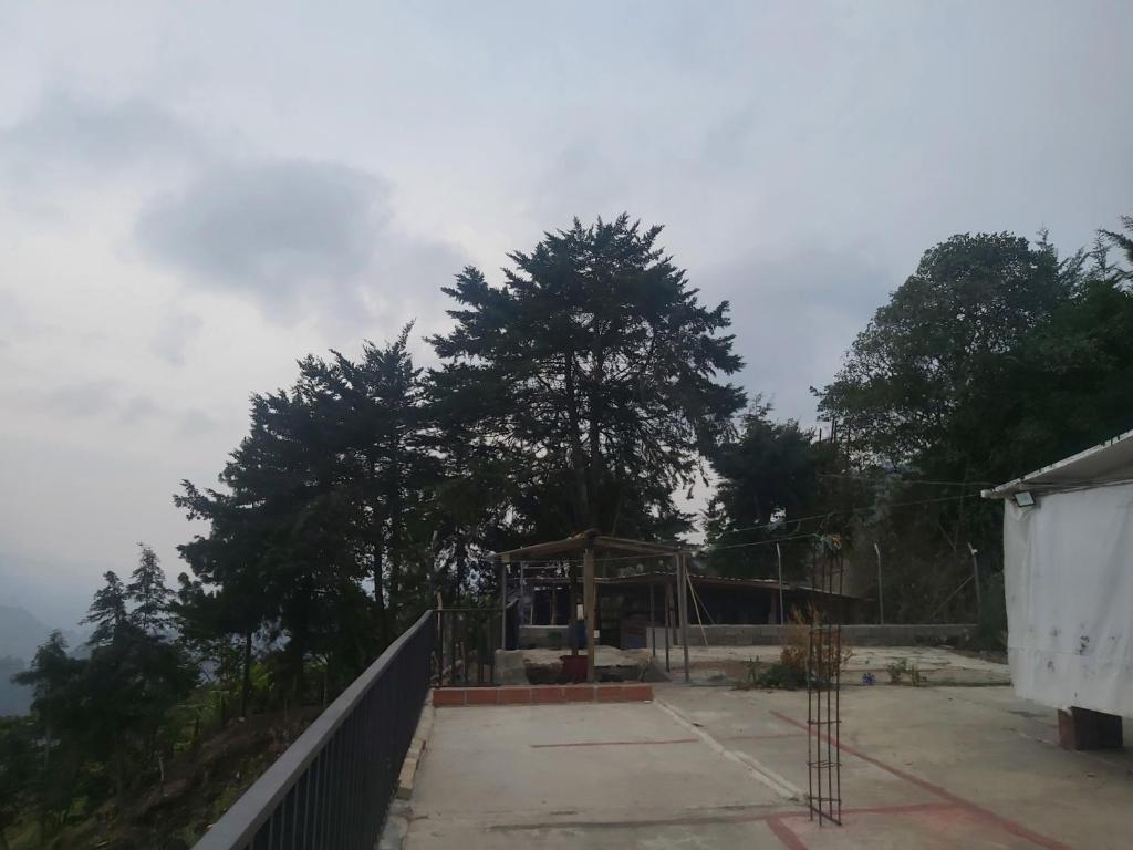 Finca La Gabriela photo 3