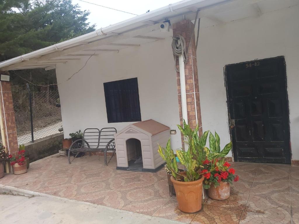 Finca La Gabriela photo 4
