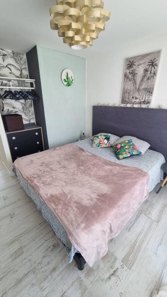 Appartement d'une chambre avec jardin clos et wifi a Medis a 4 km de la plage photo 4