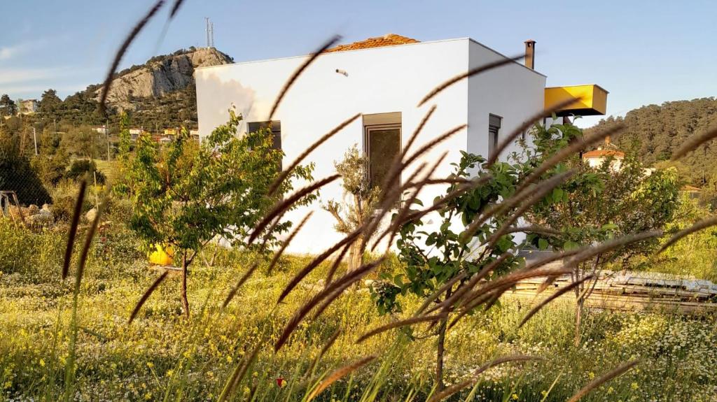 Antalya villa