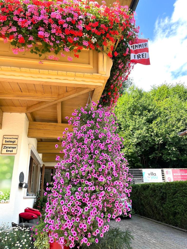 Pension Mirabelle