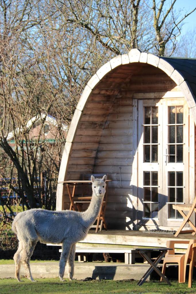 Minicamping Aan de Waterspiegel