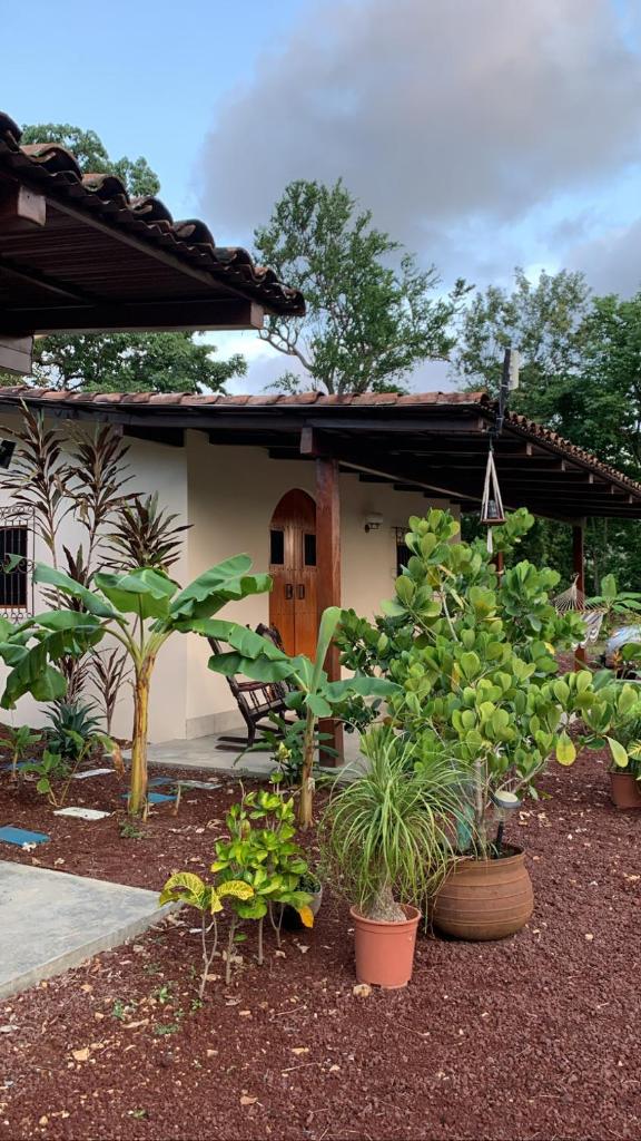 Casita(s) In Escamequita photo 1