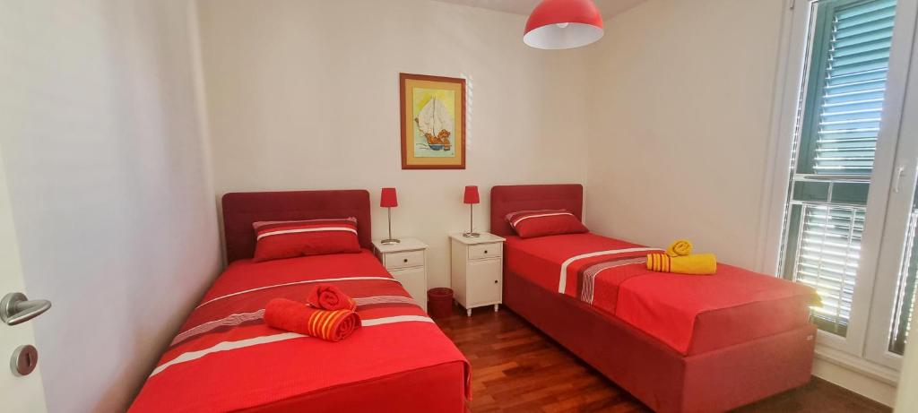 Apartment Zana photo 1