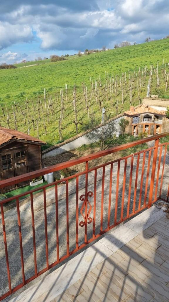 Casa FELICE photo 4