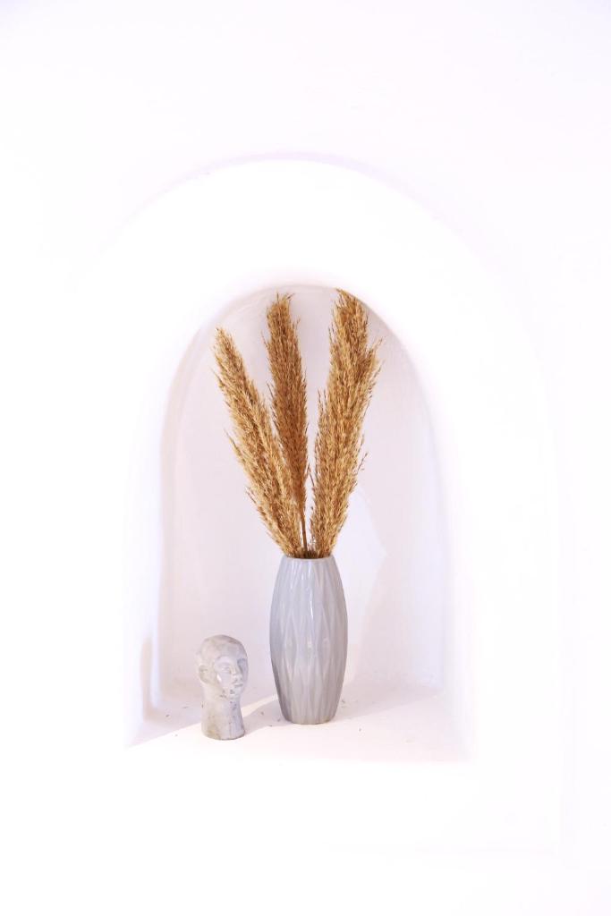 Whitelist Apartment NEW in Mykonos Town