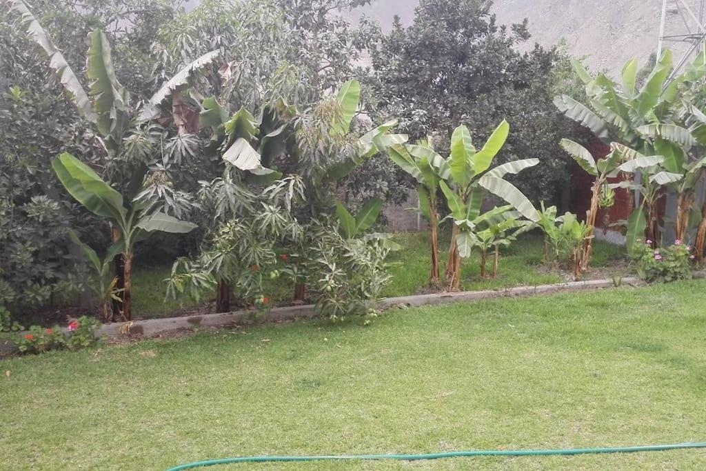 Villa Esperanza - Casa de verano photo 2