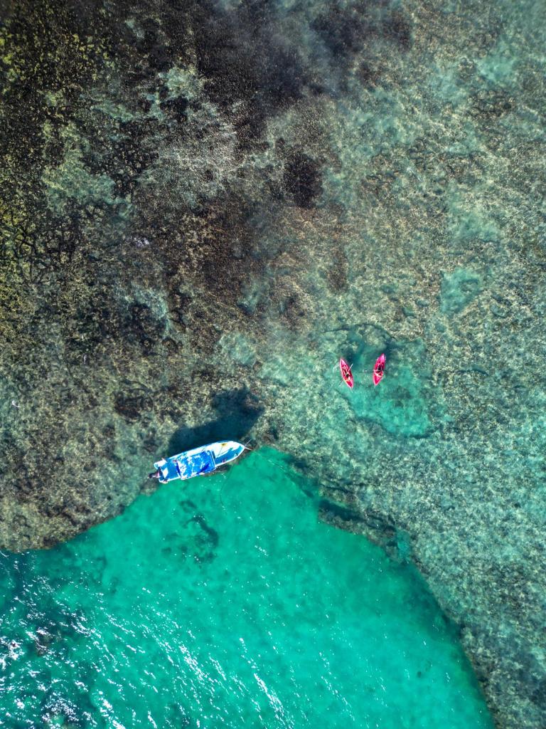 Mereva Tulum photo 3