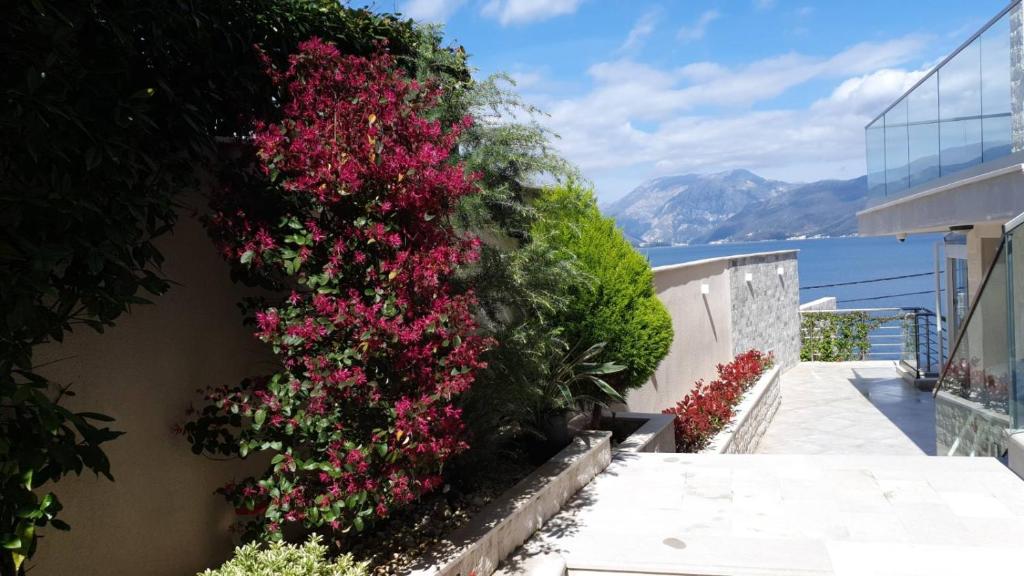 Villa Sonja Apartments photo 1