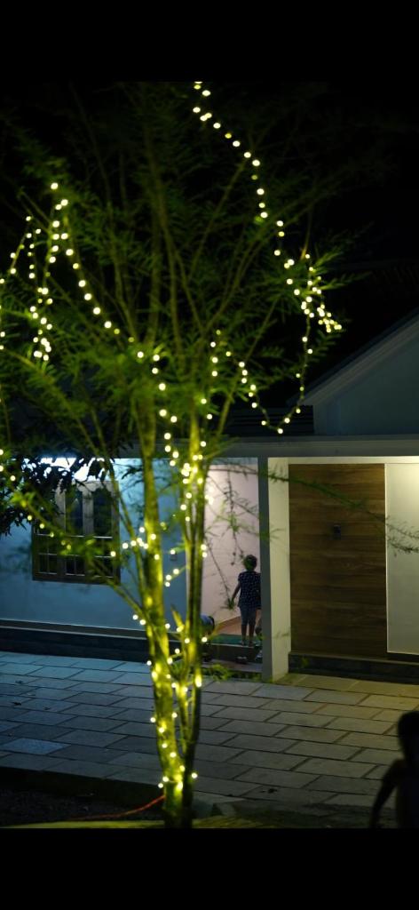 Nest Homes photo 3