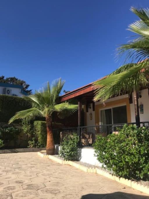 Ozankoy Villa photo 4