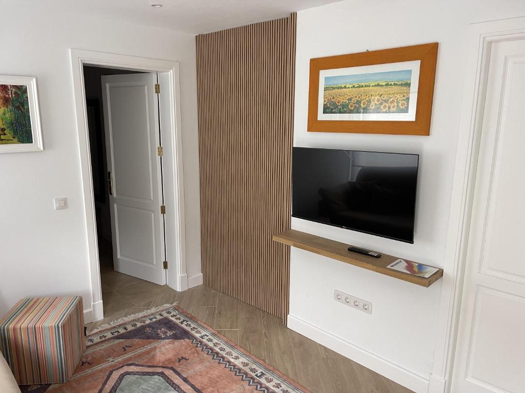 Sport & culture nest photo 1