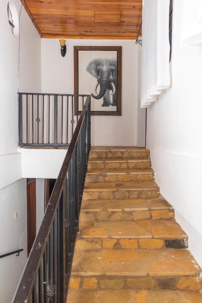 Elevate by African Manor photo 2