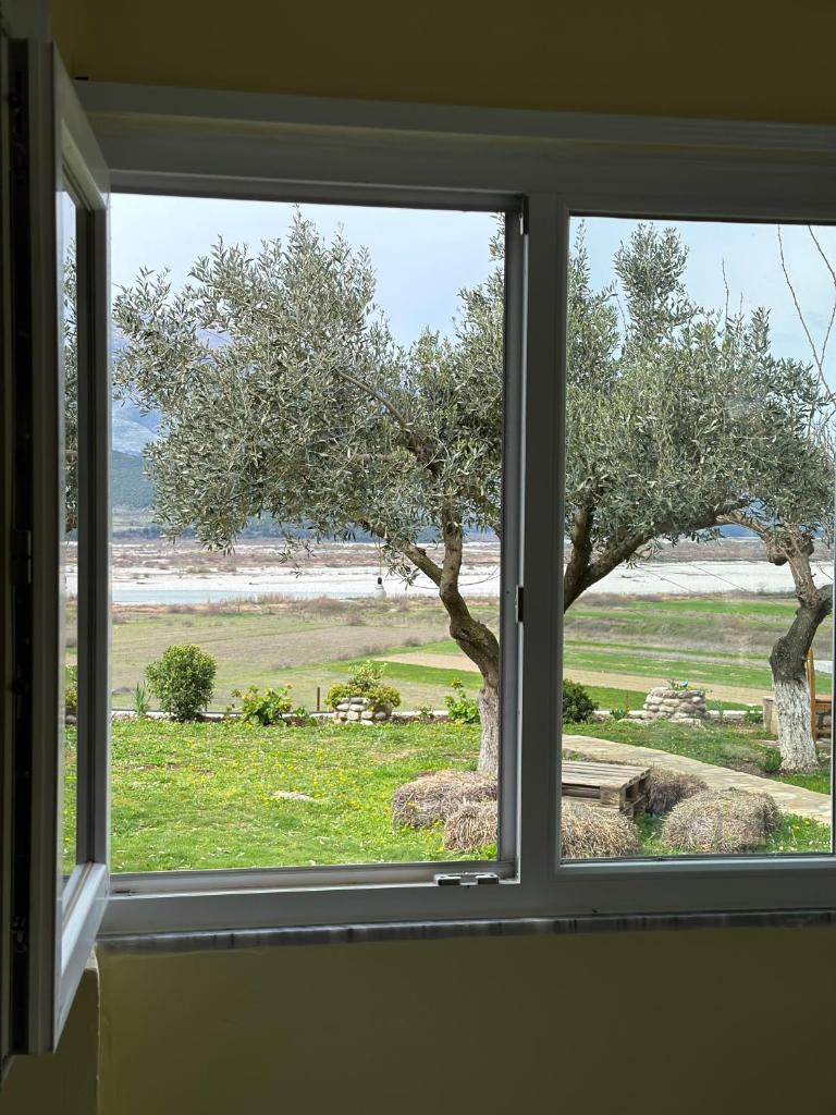 Vjosa Guest House photo 3