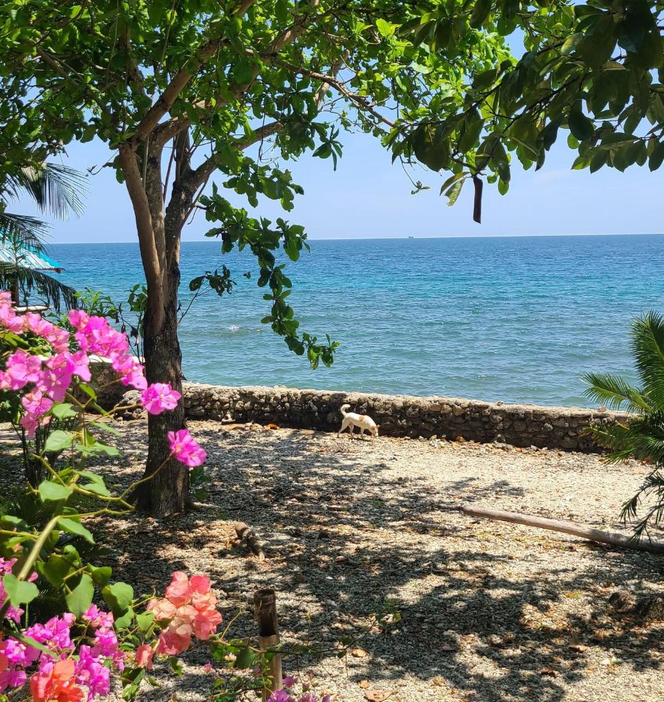 Paseo Del Mar Seaside Dive Inn