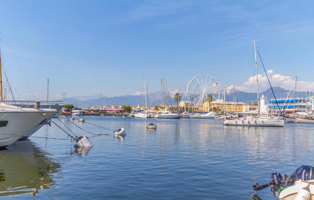 Lovely Apartment In Viareggio With Wifi photo 1