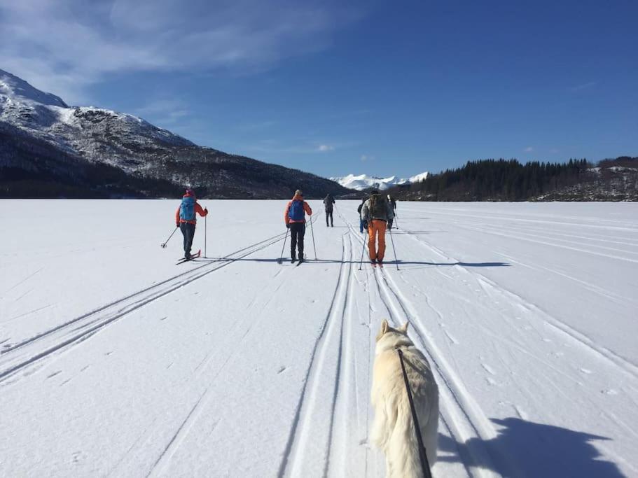 Bestemors hus ca 3mil utenfor Sortland Sent photo 1